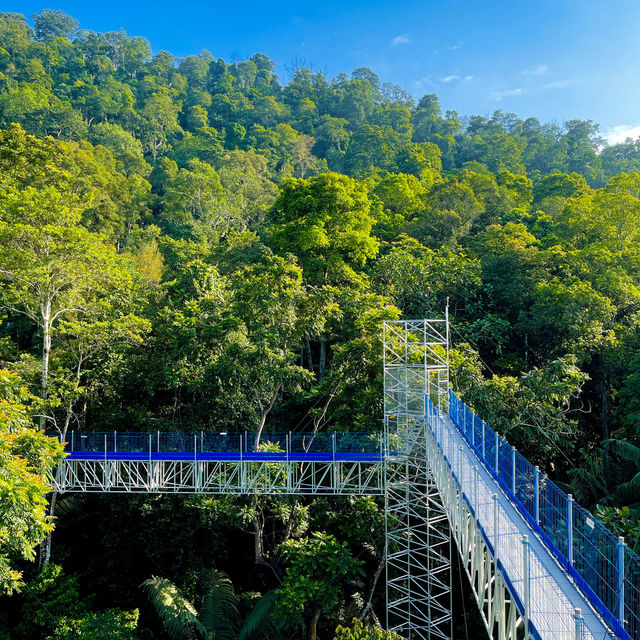 FRIM Skywalk