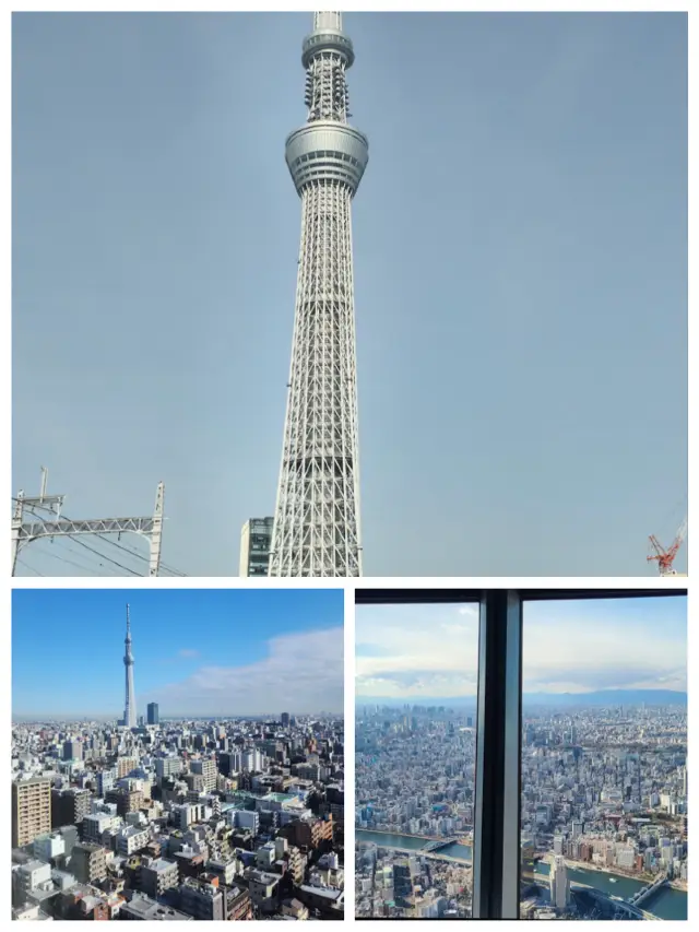 Tokyo Skytree: A Family Travel Destination Combining Traditional Aesthetics and Modern Technology