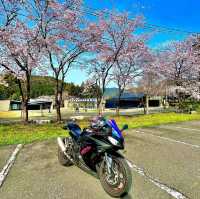 Cafe TEF