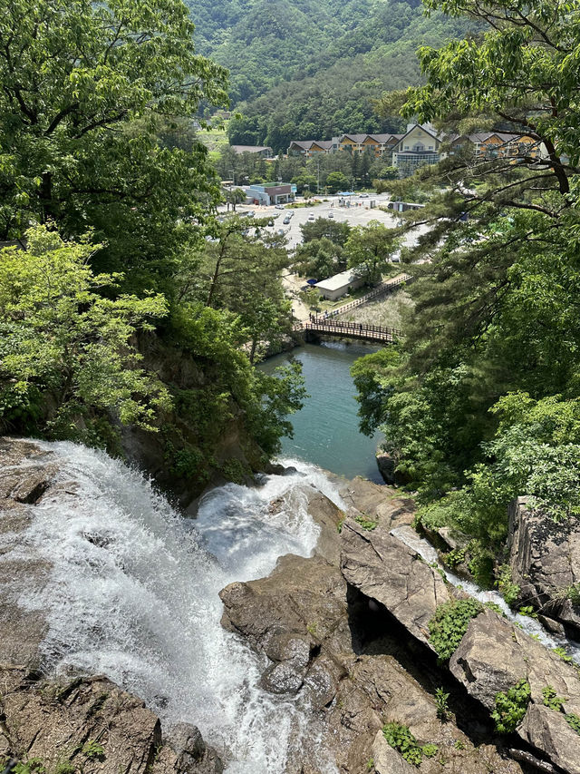 서울 근교, 포천에서 🏝️ 여름을 풍성하게 느껴볼 수 있는 여름 나들이 여행지 추천 ! 💫