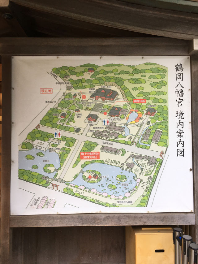 鶴岡八幡宮的莊嚴與美麗：探索鎌倉的靈魂