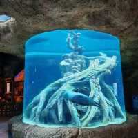 Zhuhai Chimelong Spaceship Park