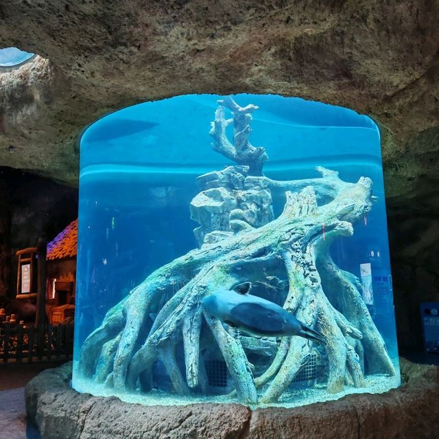 Zhuhai Chimelong Spaceship Park