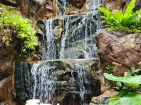 Butterfly Garden