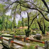 「東林寺：古剎禪意」
