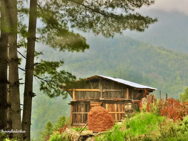 Exploring the hidden gems of Bhutan 🇧🇹 