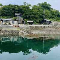 【愛媛】フェリーで行く猫の島🐈