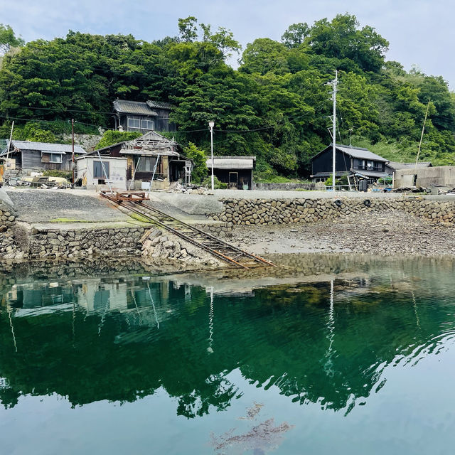 【愛媛】フェリーで行く猫の島🐈