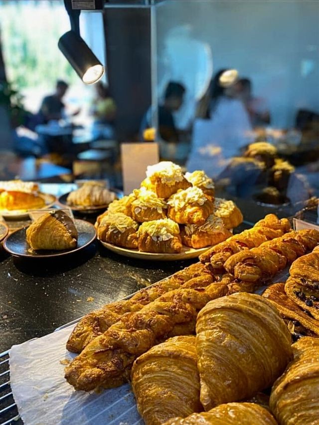 🎂 S-Curve Specialty Coffee Cafe