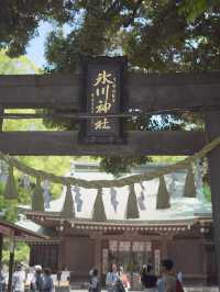 【埼玉 / 川越】おみくじが釣りみたいになってて楽しい川越氷川神社