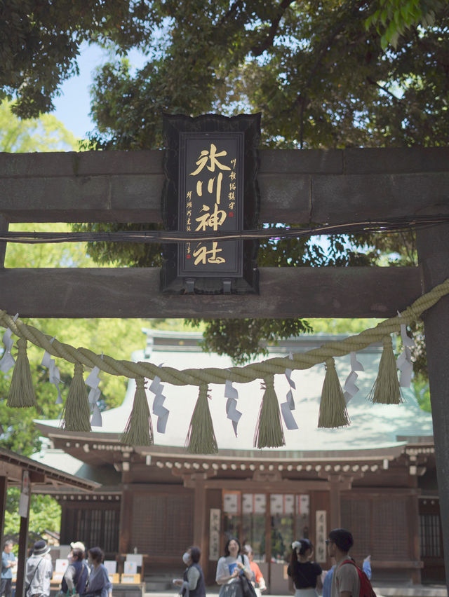 【埼玉 / 川越】おみくじが釣りみたいになってて楽しい川越氷川神社