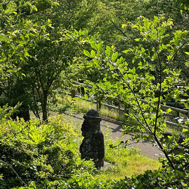 【五月平展望台】無敵美景