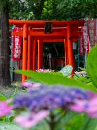 『あ、うん』？？？ご利益/世にも珍しい花井戸と花手水 長浜八幡宮と舎那院