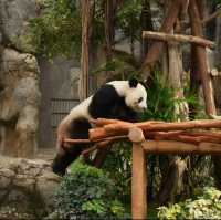 Memories to HongKong