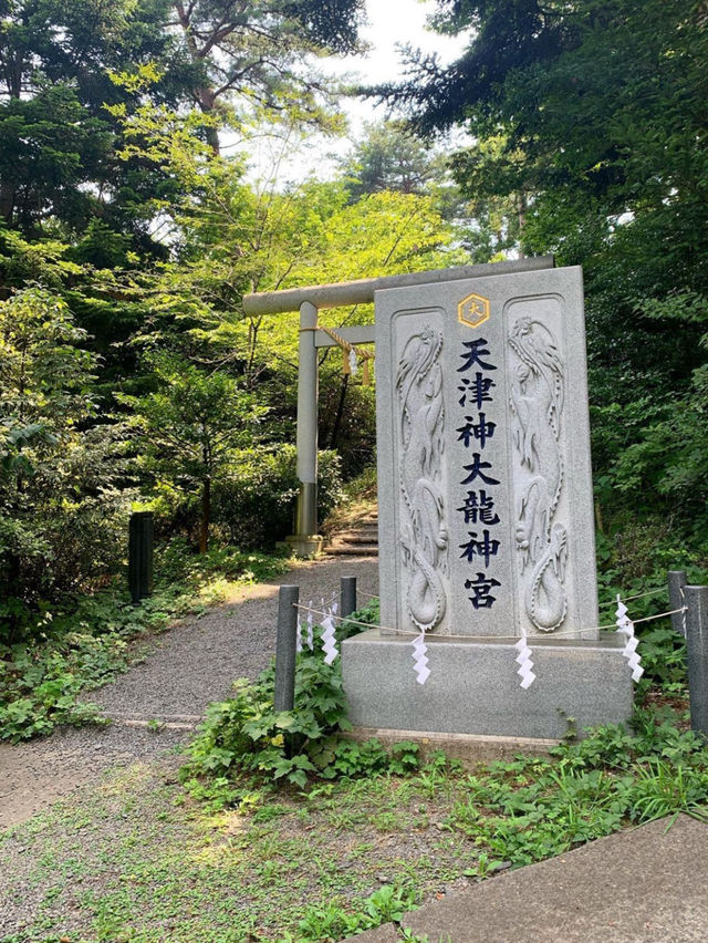 【宮城県石巻市】おすすめスポット6選‼️
