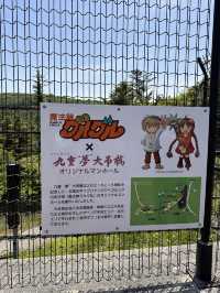【大分観光/自然】