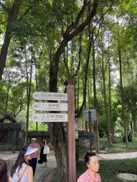 🌿🚣‍♀️  漫步成都人民公園，體驗當地人的生活🌸🎶