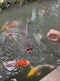 คาเฟ่ในร่องสวนมะพร้าว