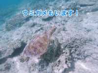 日本最南端の有人島!!波照間島で極上のビーチタイム！🌴