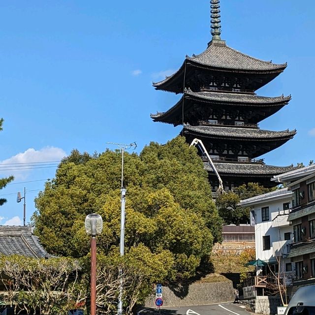 秋の奈良