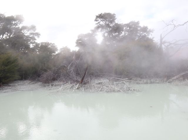 【NZ】ニュージーランド ロトルア旅