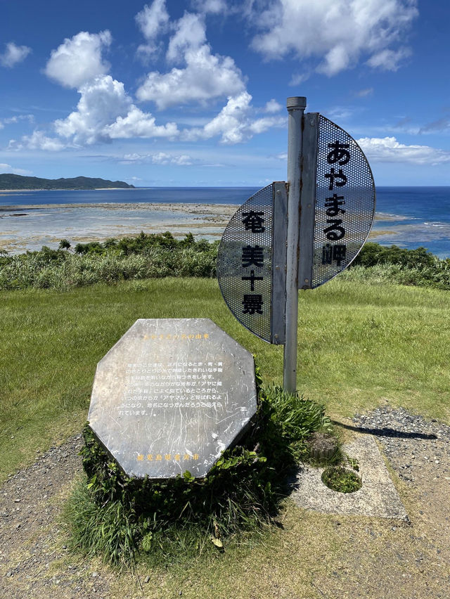 【奄美】南国！一度は見てほしい絶景あやまる岬