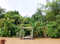 เที่ยวคาเฟ่บ้านสวนที่เหมือนฝัน