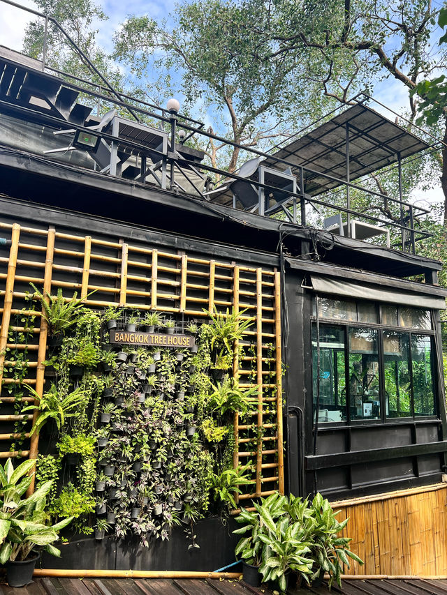 Bangkok Tree House บางกระเจ้า