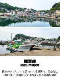 【和歌山】和歌山市観光スポットおすすめ9選