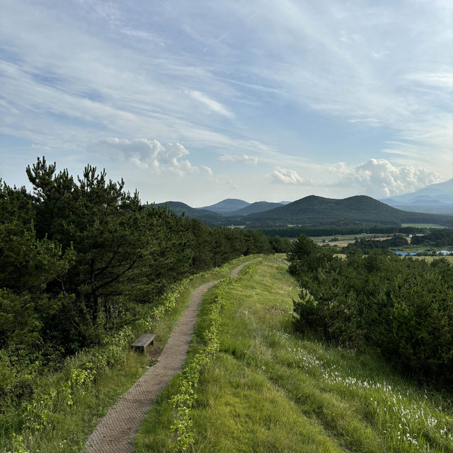 제주여행🏝️ 다섯번째 오름, 왕초보자도 오를 수 있는 아부오름🌳