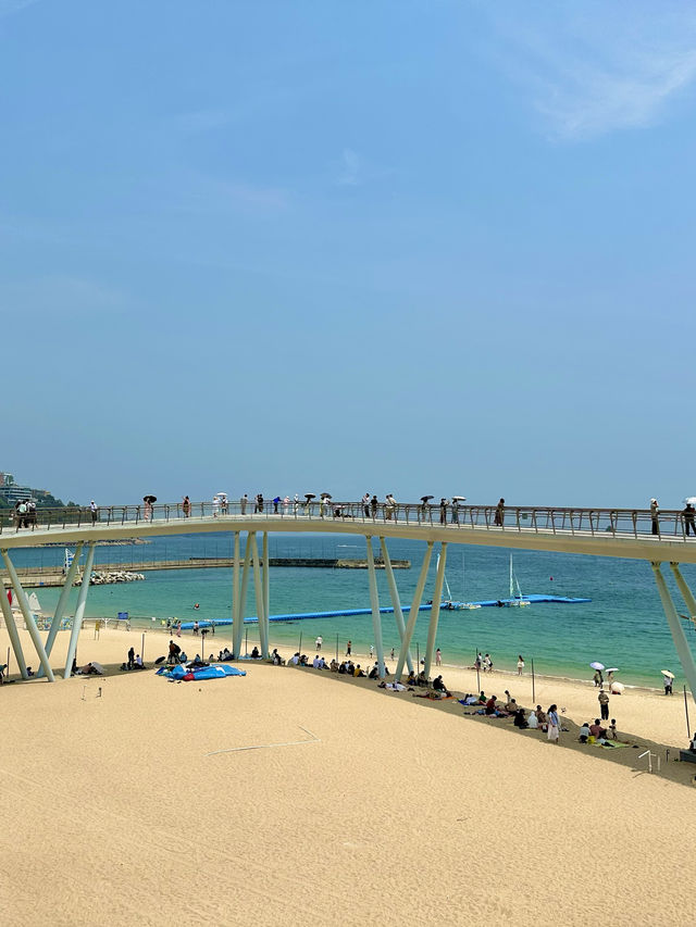 Shenzhen’s Ultimate Exploration: From Bustling Streets to Scenic Promenades
