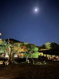 〜京都府〜煌びやかに光る寺院　秋の特例参観高台寺
