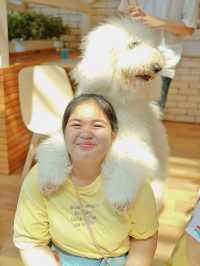 พาลูกเที่ยววันแม่ 🐶😍