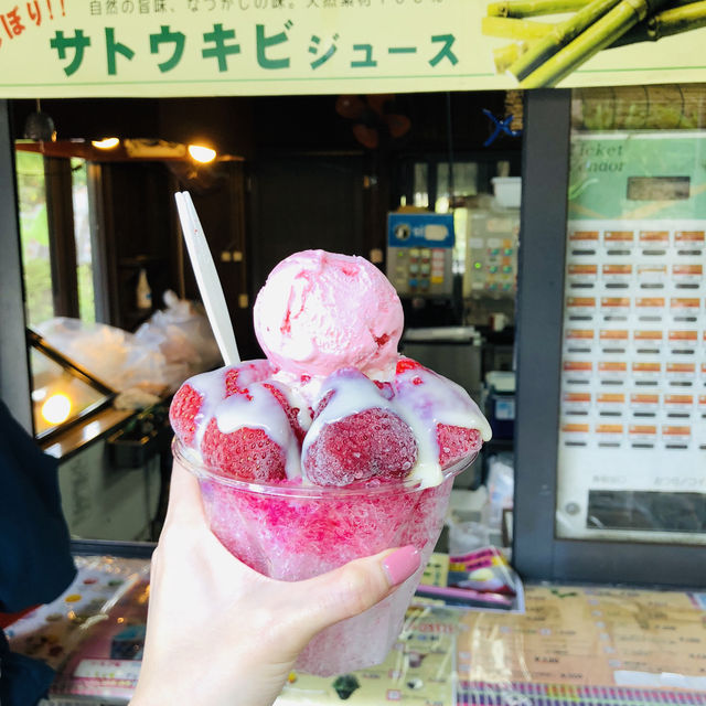 So Colorful at Okinawa 🇯🇵! Raw nature beauty