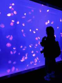 SHANGHAI OCEAN AQUARIUM 🐟