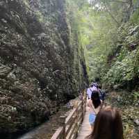 Defy gravity on the Zhangjiajie Glass Bridge—the world’s longest and highest