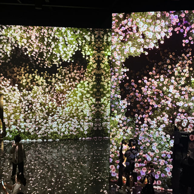 황홀함 그 자체였던 아르떼뮤지엄 ✨