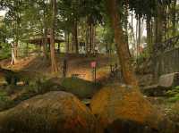 Bukit Hijau Recreational Forest
