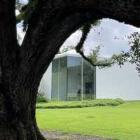 The Menil Collection: A Quiet Artistic Escape