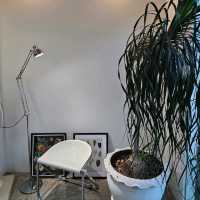 ร้าน WHITE CACTUS คาเฟ่บรรยากาศดี