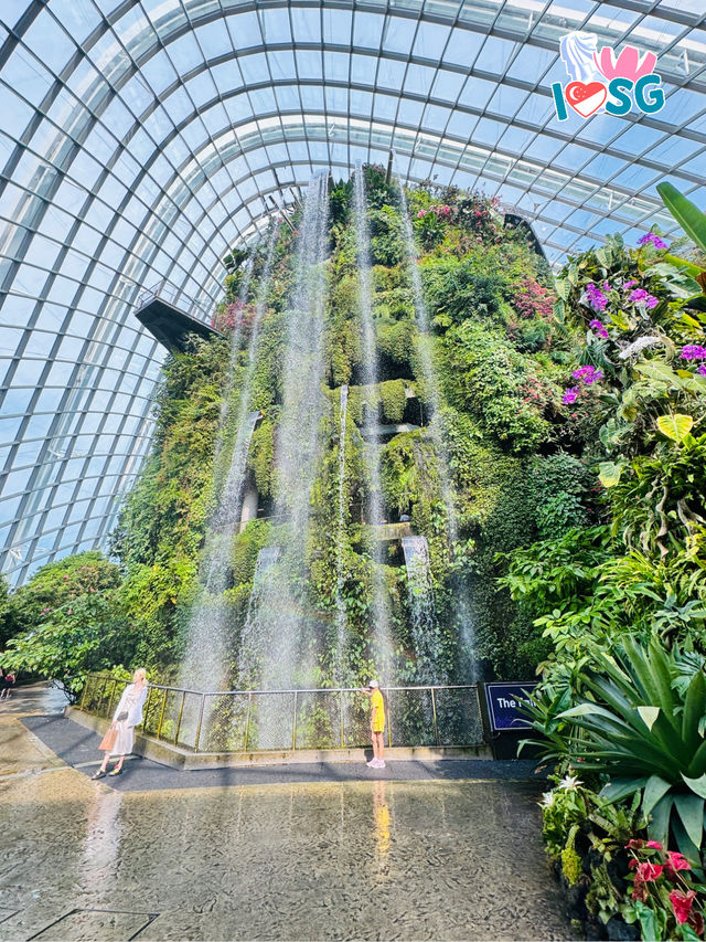 🇸🇬 Must come to Cloud Forest