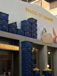 🍰🌻: HOLIDAY PASTRY Flagship Store