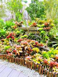 An Exciting Day Out at Bird Paradise 