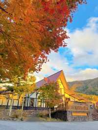 【群馬】超穴場紅葉スポット!!奇跡の絶景を楽しもう🧡