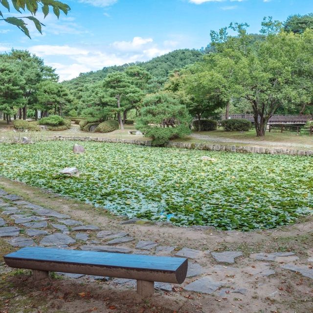 인공호수와 전통한옥의 조화