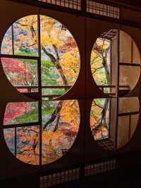 【京都府】嵐山祐斎亭