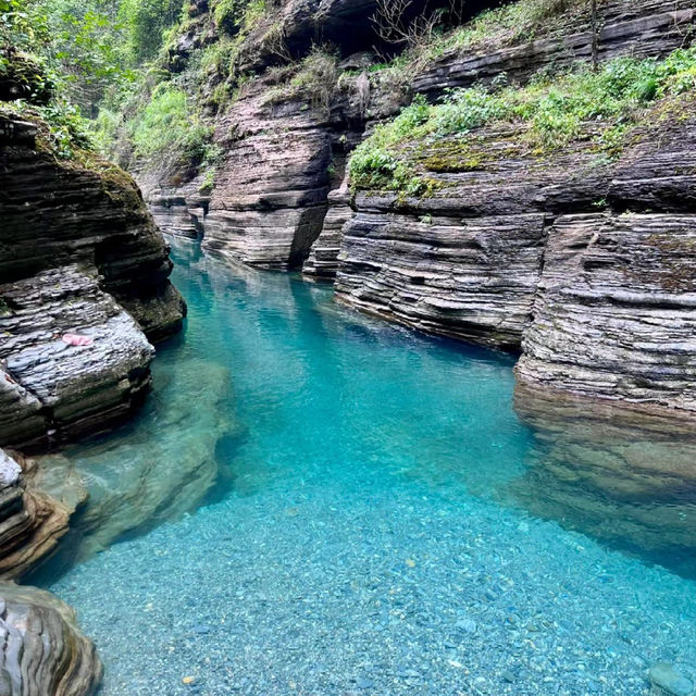 輕風露營營地⛺️自然環繞