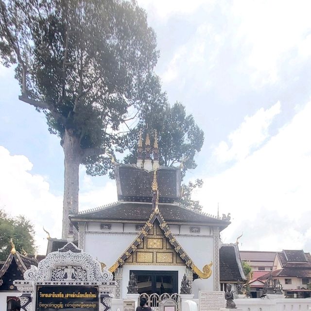 เที่ยวเชิงวัฒนธรรม วัดเจดีย์หลวงวรวิหาร