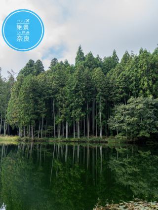 宛如置身吉卜力工作室動畫「魔法公主」的世界！這裡還藏著一個秘密！擁有龍之記憶的湖泊