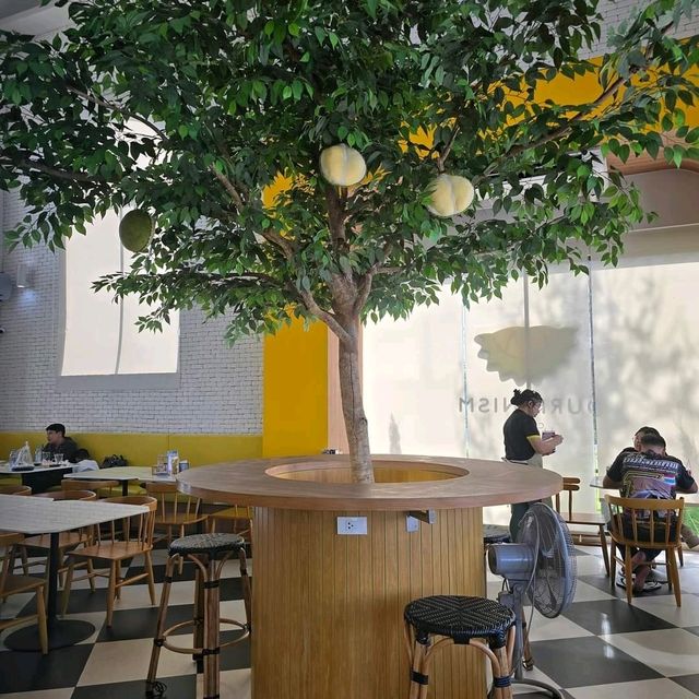 คาเฟ่ทุเรียน แอนด์ นิโตะ